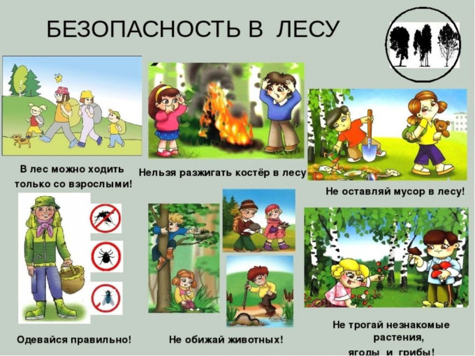 Памятка для родителей "Безопасность дошкольников в лесу" Памятка для родителей "Безопасность дошкольников в лесу".